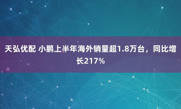 天弘优配 小鹏上半年海外销量超1.8万台，同比增长217%