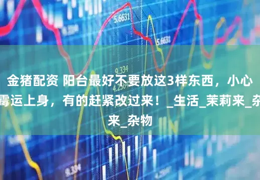 金猪配资 阳台最好不要放这3样东西，小心惹霉运上身，有的赶紧改过来！_生活_茉莉来_杂物