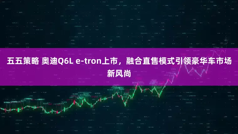 五五策略 奥迪Q6L e-tron上市，融合直售模式引领豪华车市场新风尚