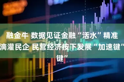 融金牛 数据见证金融“活水”精准滴灌民企 民营经济按下发展“加速键”