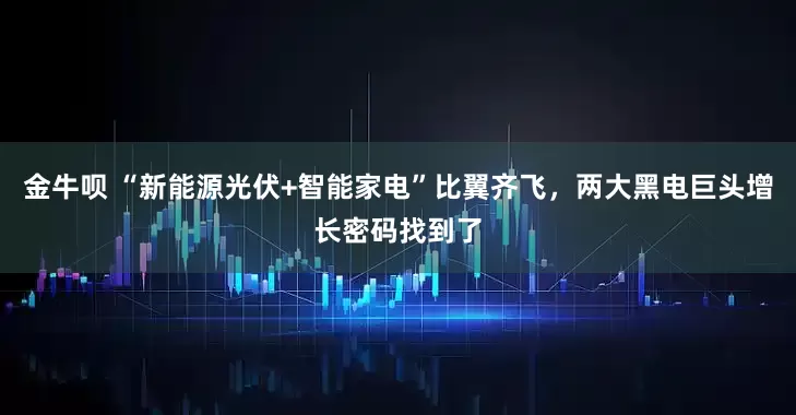 金牛呗 “新能源光伏+智能家电”比翼齐飞，两大黑电巨头增长密码找到了